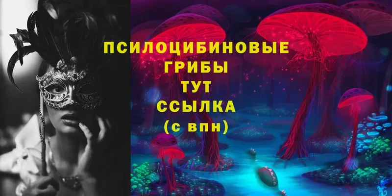 Псилоцибиновые грибы Psilocybine cubensis  Белоозёрский 